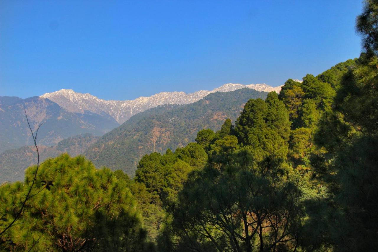 Rendezvous Resort Dharamshala Dış mekan fotoğraf